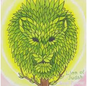 Lion Of Judah - Soul Power CD