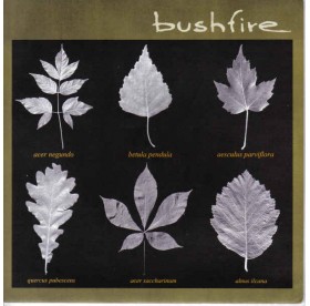 Bushfire - Same 7"